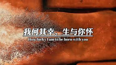 美丽的铅笔裙